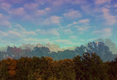 Silhouette of trees against cloudy sky