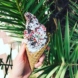 Close-up of hand holding ice cream