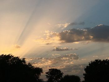 Low angle view of silhouette trees against sky during sunset