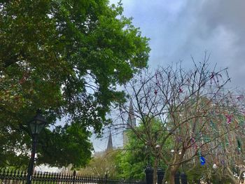 Low angle view of trees against sky