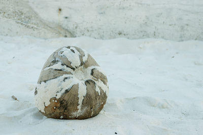 Close-up of sand on beach