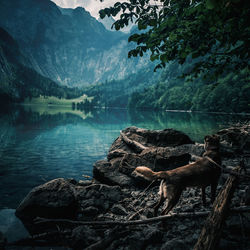 Rocks by lake against mountain