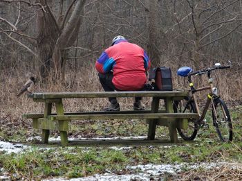 Rear view of bicycle in forest