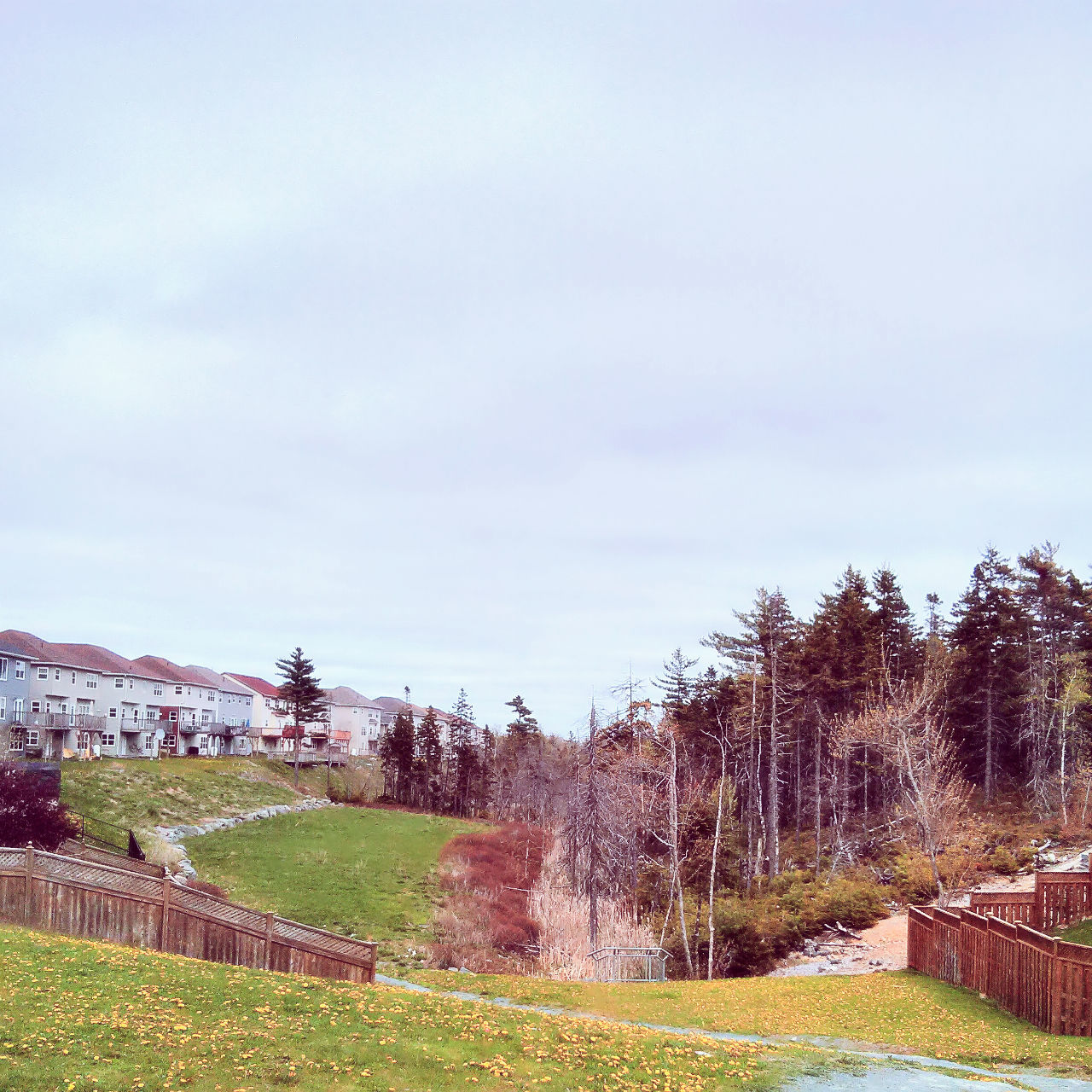 Greenery