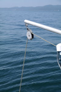 View of birds on sea