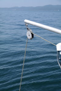 View of birds on sea