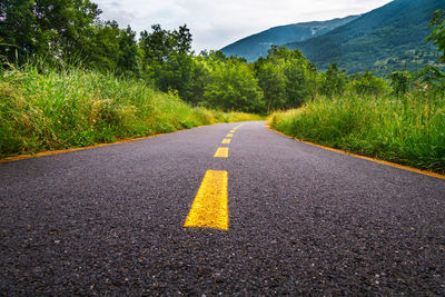 Surface level of road amidst plants and trees against sky