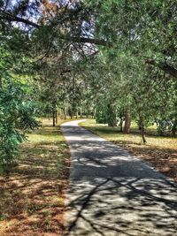 Road passing through forest