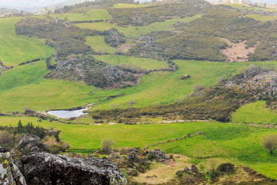 Scenic view of green landscape by river