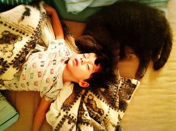 Portrait of a sleeping cat