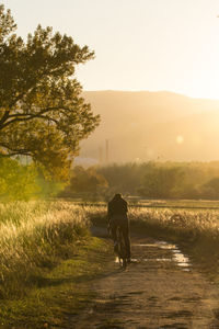 Rear view of man cycling on dirt road against sky