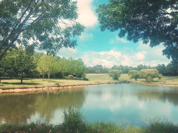 Scenic view of lake by trees against sky