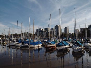 Sailboats moored in harbor
