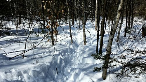 Scenic view of snow covered landscape