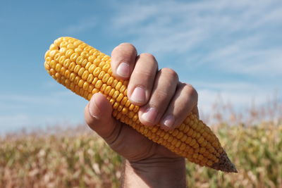 Close-up of hand holding ice cream