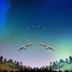 Low angle view of birds flying in sky