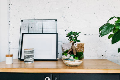 Potted plant on table against wall