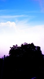 Low angle view of silhouette trees against sky