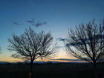 Silhouette of bare trees on landscape at sunset