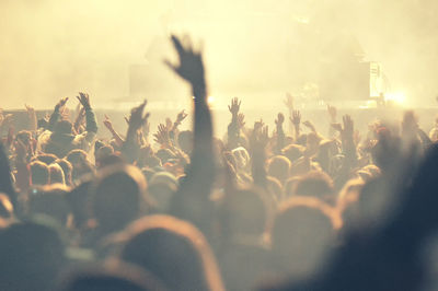 Crowd enjoying at music concert