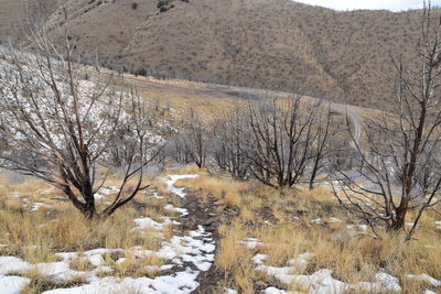 Lake mountains peak,  israel canyon radio towers, utah lake, wasatch front rocky mountains, provo.