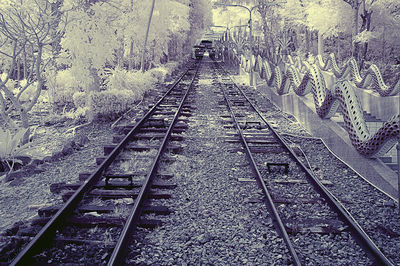 Railroad tracks