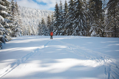 Man skiing on snow covered field