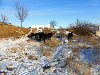 View of people on snow covered land