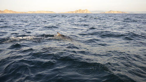 View of sea
