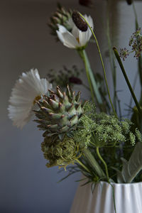 Plants in vase