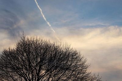 Low angle view of silhouette tree against sky