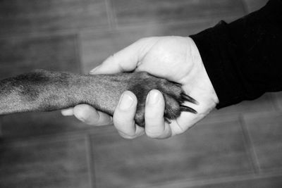 Man holding dog's paw