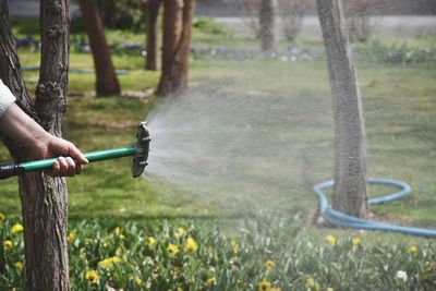 Man watering garden