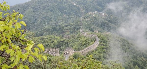 High angle view of winding road amidst trees