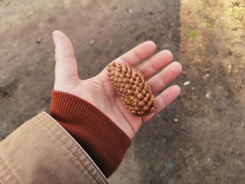 Close-up of hand holding bread