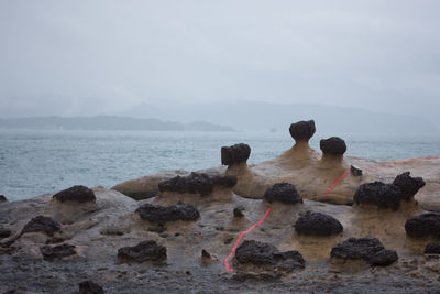 Rear view of woman looking at sea shore against sky