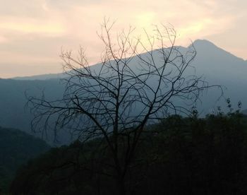 Silhouette bare tree against mountains at sunset