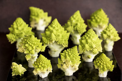 Close-up of vegetables