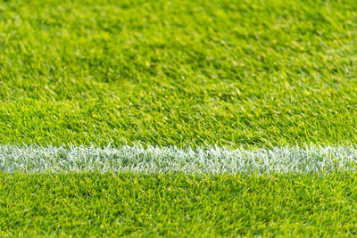 Full frame shot of green field