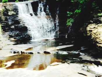 Stream flowing through rocks in forest