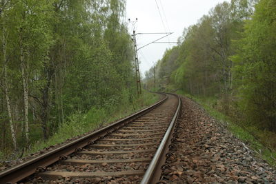 Railroad tracks amidst trees against sky