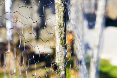 Metal fence background, real fence close-up and texture, daylight and outdoor