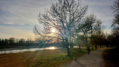 Bare trees on field by lake against sky