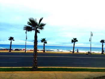 Palm trees by sea against cloudy sky