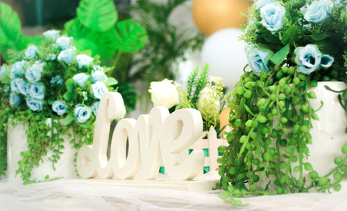 Close-up of white flowers on table