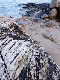 High angle view of rocks on beach