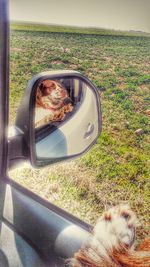 Reflection of man photographing in side-view mirror