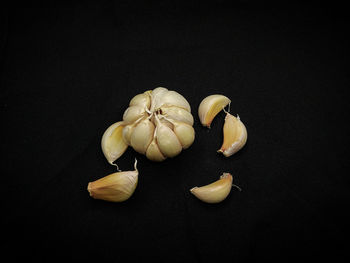 High angle view of fruits against black background