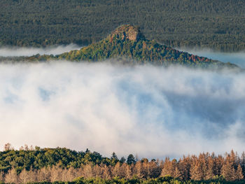 Zirkelstein in mist. autumn fog above trees, white waves. fall valley of saxony switzerland, germany