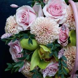 Close-up of pink roses